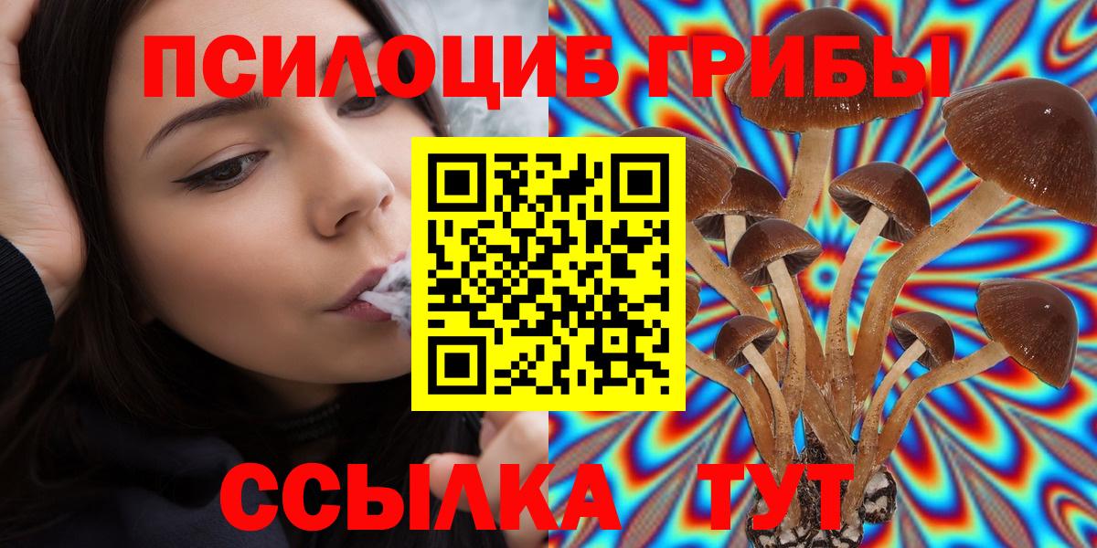 Заволжье  Псилоцибиновые грибы GOLDEN TEACHER  Вход с VPN 