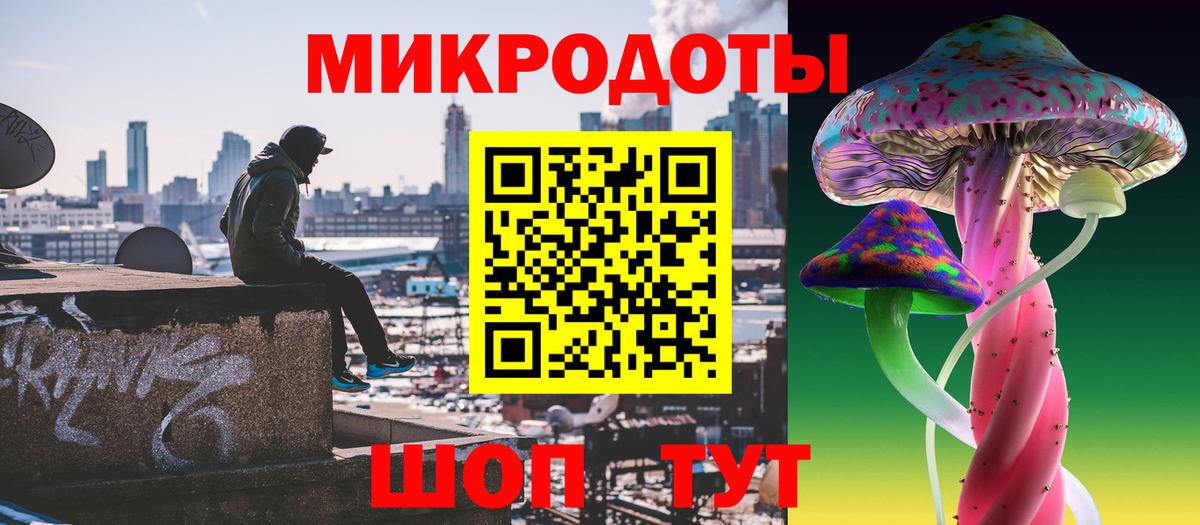 Псилоцибиновые грибы Psilocybe Заволжье